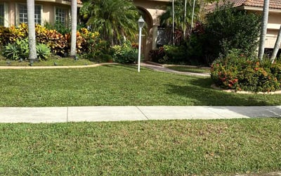 Photo of Freddy M.'s yard after getting lawn care in Pembroke Pines, FL