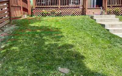 Photo of Doug h.'s yard after getting lawn care in Martinsville, IN