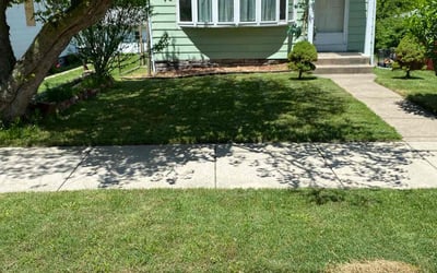 Photo of LaTalya P.'s yard after getting lawn care in Mishawaka, IN