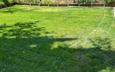 Photo of Ralph G.'s yard after getting lawn care in Antelope, CA