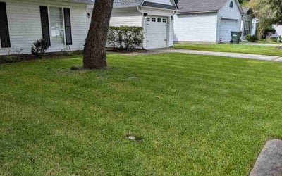 Photo of Franklin W.'s yard after getting lawn care in Fountain Inn, SC