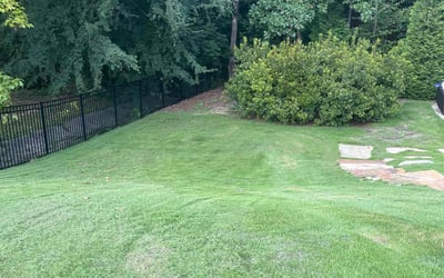 Photo of Sheryl S.'s yard after getting lawn care in Birmingham, AL