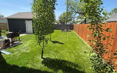 Photo of Ty A.'s yard after getting lawn care in Clarksville, IN