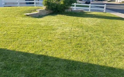 Photo of Karyn B.'s yard after getting lawn care in Payson, UT