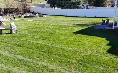 Photo of Melanie S.'s yard after getting lawn care in Colville, WA