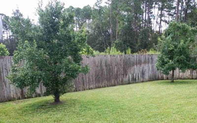 Photo of Jennifer M.'s yard after getting lawn care in Atlantic Beach, FL
