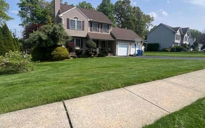 Photo of Rebecca R.'s yard after getting lawn care in Bristol, CT