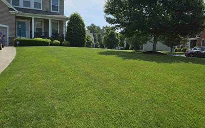 Photo of Lou S.'s yard after getting lawn care in Midlothian, VA