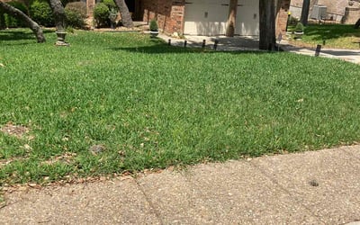 Photo of Janet A.'s yard after getting lawn care in La Vernia, TX