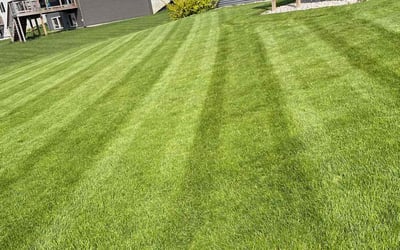 Photo of Jaren B.'s yard after getting lawn care in Hudsonville, MI