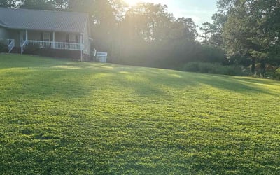 Photo of Shannon B.'s yard after getting lawn care in Phenix City, AL