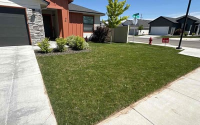 Photo of Evelyn K.'s yard after getting lawn care in Boise City, ID