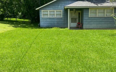 Photo of Robin O.'s yard after getting lawn care in Chesapeake, VA
