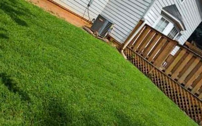 Photo of Marcia C.'s yard after getting lawn care in Lithonia, GA