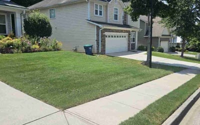 Photo of Ashley W.'s yard after getting lawn care in Fairburn, GA