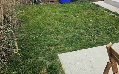 Photo of Kay A.'s yard after getting lawn care in Gladstone, OR