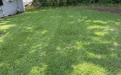 Photo of Westley G.'s yard after getting lawn care in Virginia Beach, VA