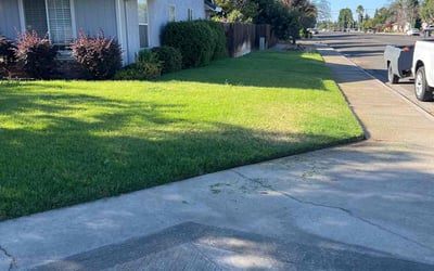 Photo of Bre F.'s yard after getting lawn care in Raleigh, NC
