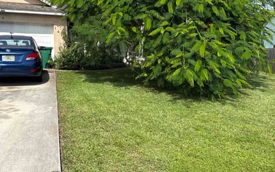 Photo of Heather L.'s yard after getting lawn care in Lebanon, TN