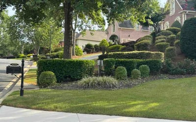 Photo of Jennifer O.'s yard after getting lawn care in Fort Worth, TX