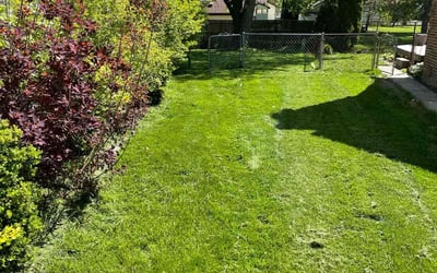 Photo of Brandon B.'s yard after getting lawn care in Maumee, OH