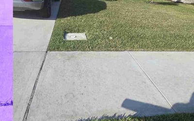 Photo of Anna D.'s yard after getting lawn care in Key Largo, FL