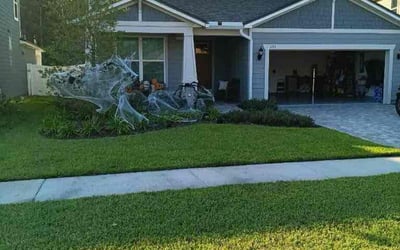 Photo of Christopher T.'s yard after getting lawn care in Saint Augustine, FL