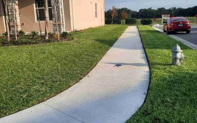 Photo of Dane F.'s yard after getting lawn care in Saint Cloud, FL