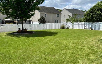 Photo of Richard S.'s yard after getting lawn care in Charlotte, NC