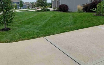 Photo of Cheryl C.'s yard after getting lawn care in Lacygne, KS