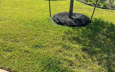 Photo of Michelle J.'s yard after getting lawn care in Hackensack, NJ