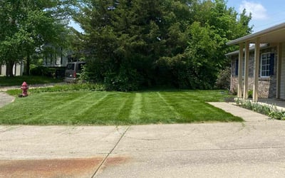 Photo of Natalie D.'s yard after getting lawn care in Anderson, IN