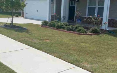 Photo of Mike R.'s yard after getting lawn care in Simpsonville, SC