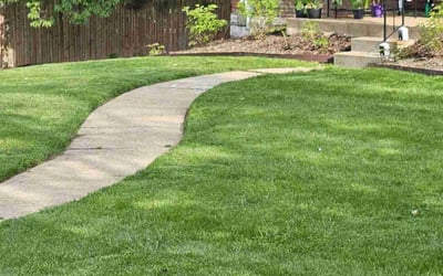 Photo of Nathan S.'s yard after getting lawn care in Imperial, MO