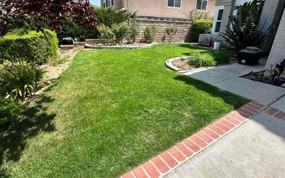 Photo of Harry B.'s yard after getting lawn care in Santa Clarita, CA