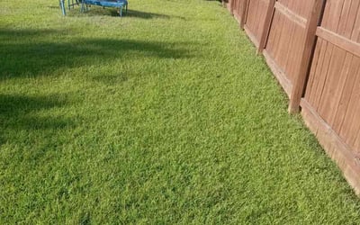Photo of Jeff S.'s yard after getting lawn care in Ladson, SC