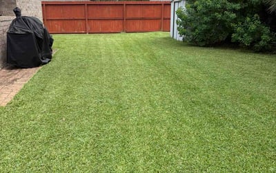 Photo of Shannon S.'s yard after getting lawn care in Everett, WA