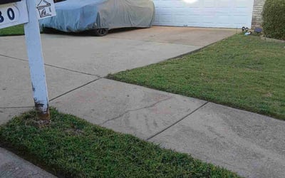 Photo of Julie B.'s yard after getting lawn care in Ashland, OR