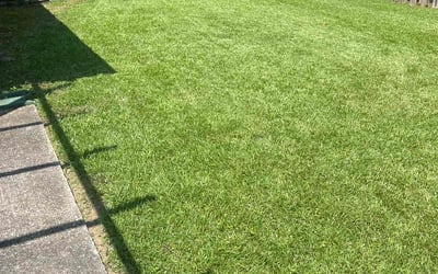 Photo of Vesta H.'s yard after getting lawn care in Hoover, AL