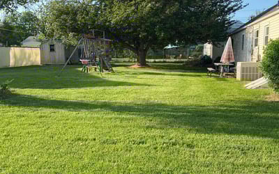 Photo of Gia S.'s yard after getting lawn care in New Castle, DE