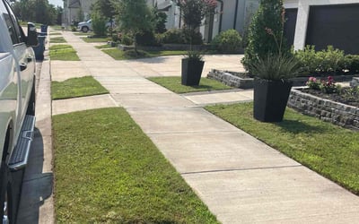 Photo of Gary B.'s yard after getting lawn care in Sealy, TX