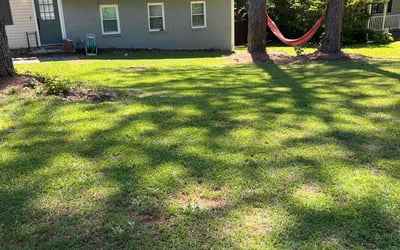 Photo of Carl H.'s yard after getting lawn care in Jonesboro, AR