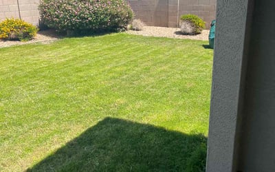 Photo of Marlene T.'s yard after getting lawn care in Peoria, AZ