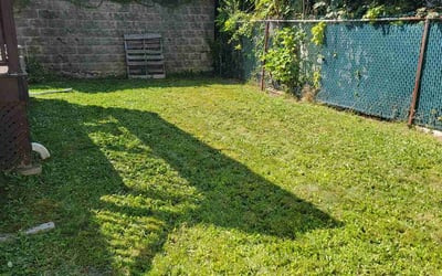 Photo of Helene D.'s yard after getting lawn care in New Bedford, MA