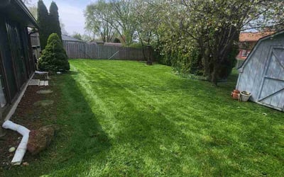Photo of Troy B.'s yard after getting lawn care in Bensenville, IL