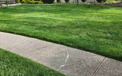 Photo of Elizabeth V.'s yard after getting lawn care in Blacklick, OH