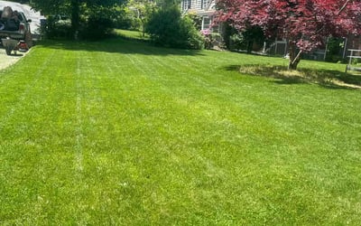 Photo of Jamar M.'s yard after getting lawn care in Livingston, NJ