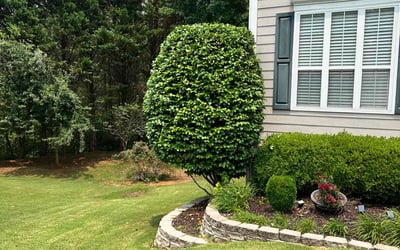 Photo of Dawn C.'s yard after getting lawn care in Kennesaw, GA