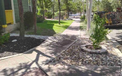 Photo of Heather P.'s yard after getting lawn care in Kyle, TX