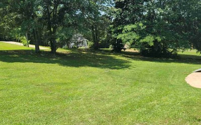 Photo of Mary D.'s yard after getting lawn care in Bessemer, AL